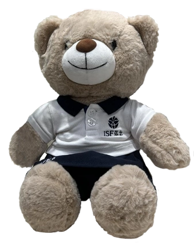 Teddy Bear in school uniform